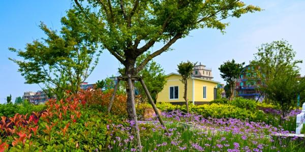 农村污水治理：富朗世MABR技术实现“废水”变“肥水”！